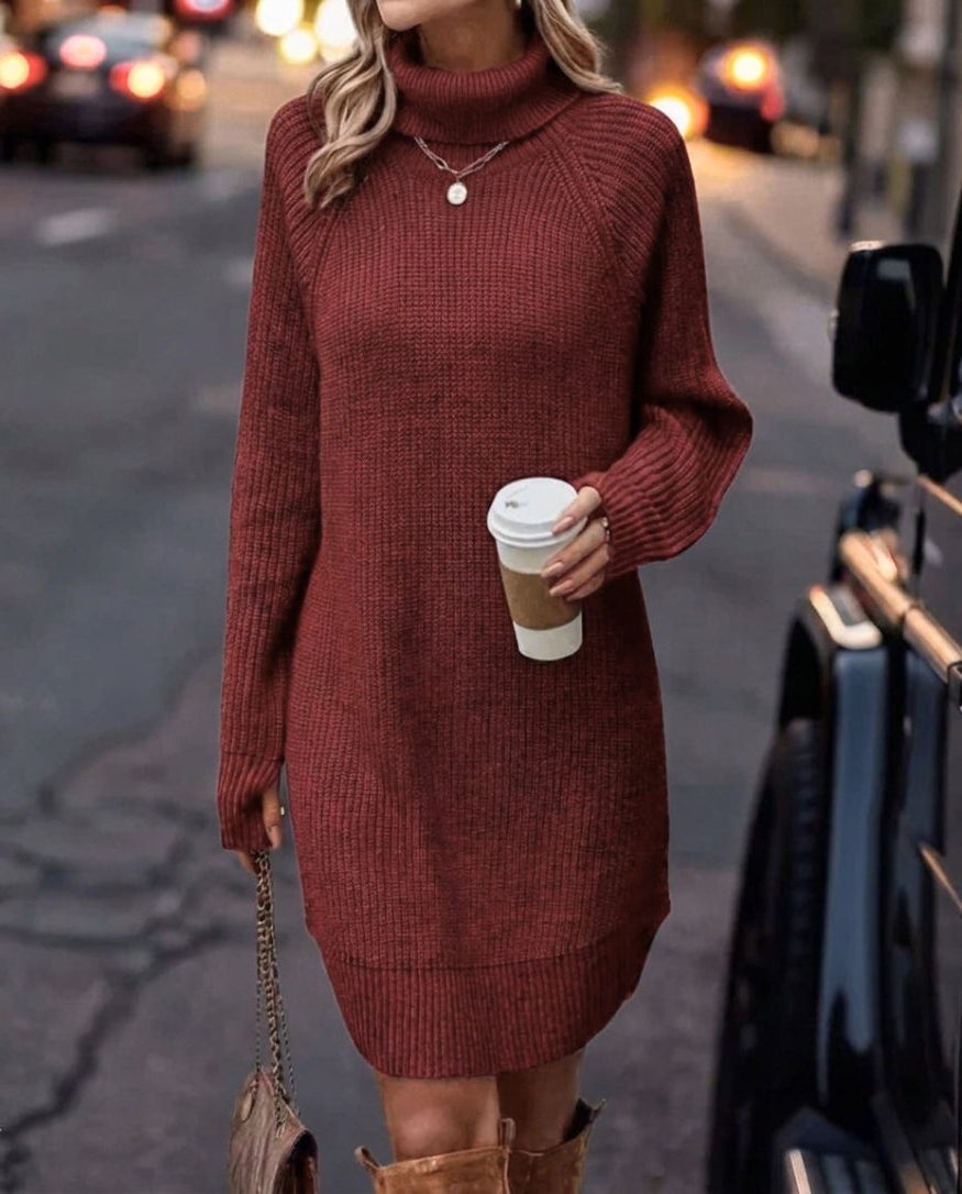 christina-sophisticated-ribbed-knit-sweater-dress-img6.jpg