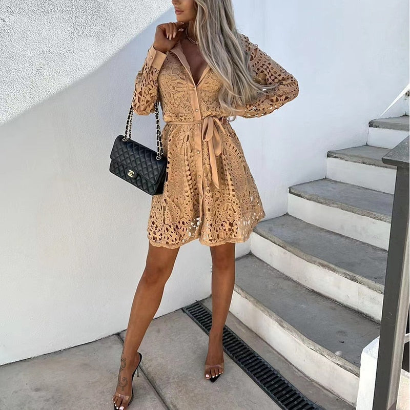 barbara-elegant-lace-mini-dress-img3.jpg