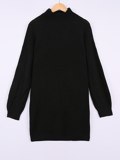 helen-relaxed-fit-half-turtleneck-sweater-dress-img3.jpg