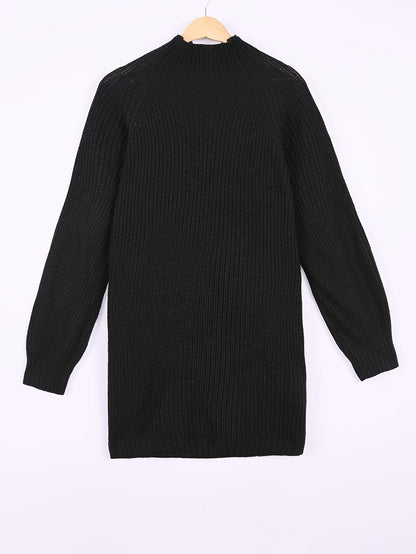 helen-relaxed-fit-half-turtleneck-sweater-dress-img4.jpg