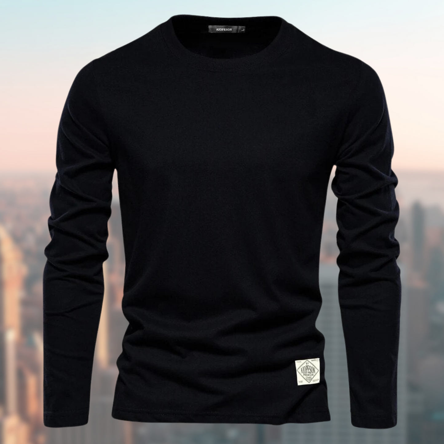 james-classic-long-sleeve-sweatshirt-img3.png