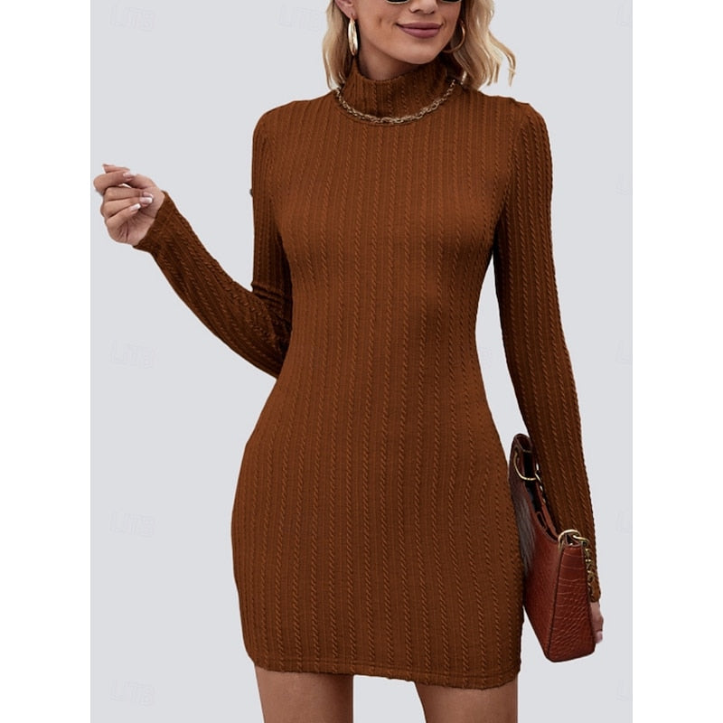 katherine-relaxed-fit-turtleneck-dress-img3.jpg