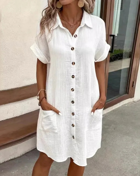 stephanie-classic-button-down-shirt-dress-img1.png