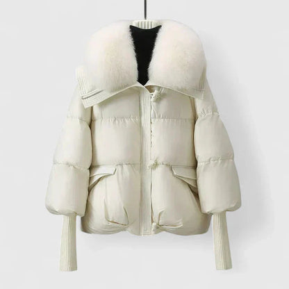 zya-comfortable-jacket-img3.webp